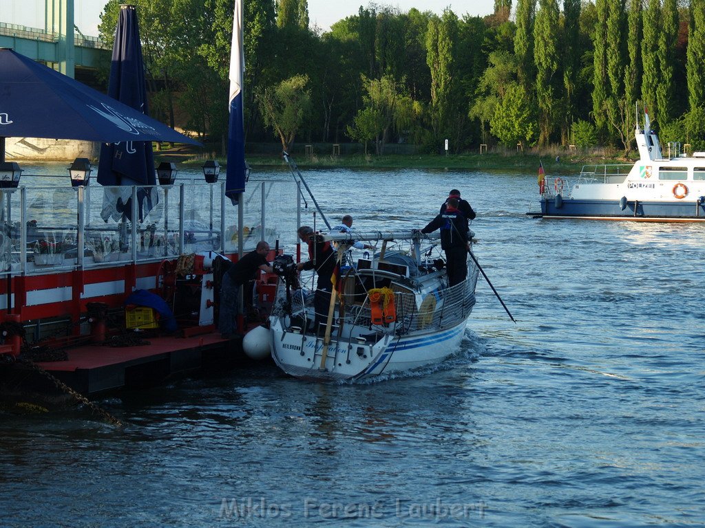 Motor Segelboot mit Motorschaden trieb gegen Alte Liebe bei Koeln Rodenkirchen P138.JPG